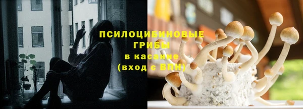PSILOCYBIN Гусь-Хрустальный