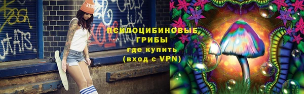 метадон Гусев