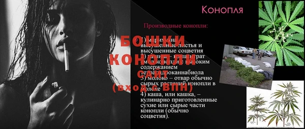метадон Гусев