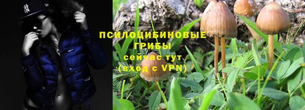 метадон Гусев