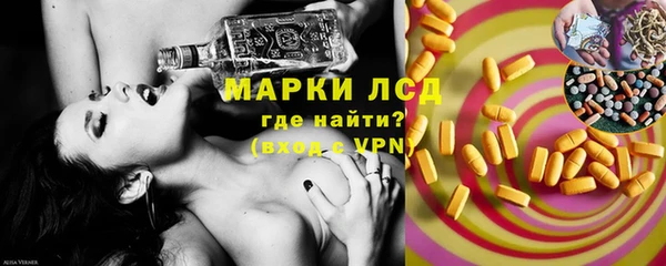 PSILOCYBIN Гусь-Хрустальный