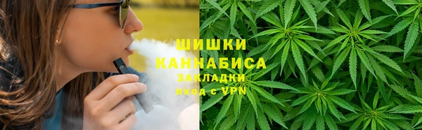 метадон Гусев